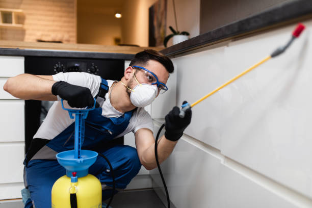 Best Exterminator Services  in East Williston, NY
