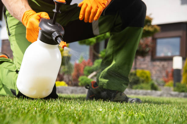 Best Wasp Removal Services  in East Williston, NY