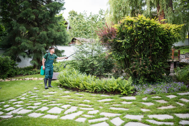Best Pest Prevention Services  in East Williston, NY