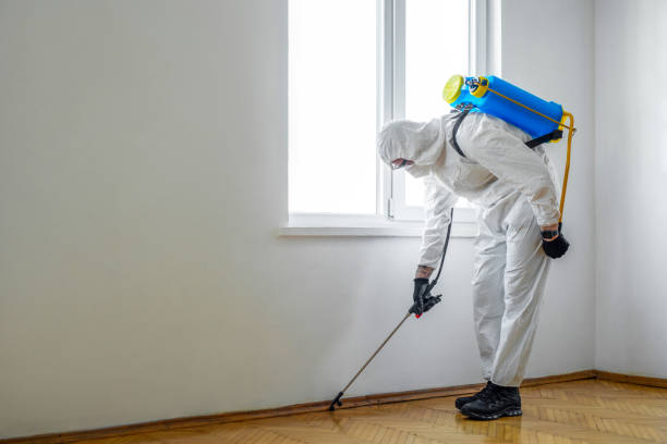 Wildlife Control Services in East Williston, NY