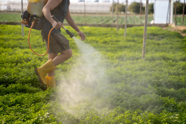 Best Best Pest Control Companies  in East Williston, NY