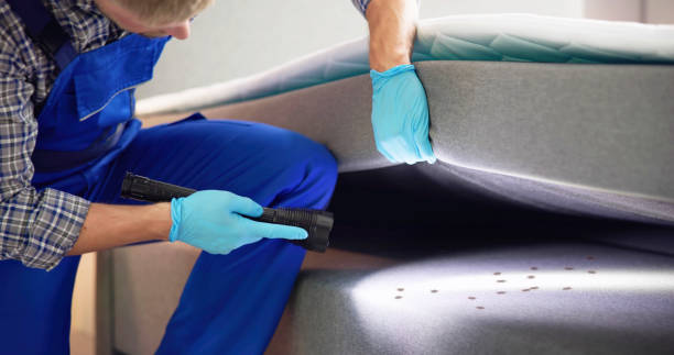 Best Pest Control Near Me  in East Williston, NY