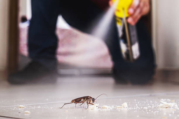 Best Pest Removal Services  in East Williston, NY