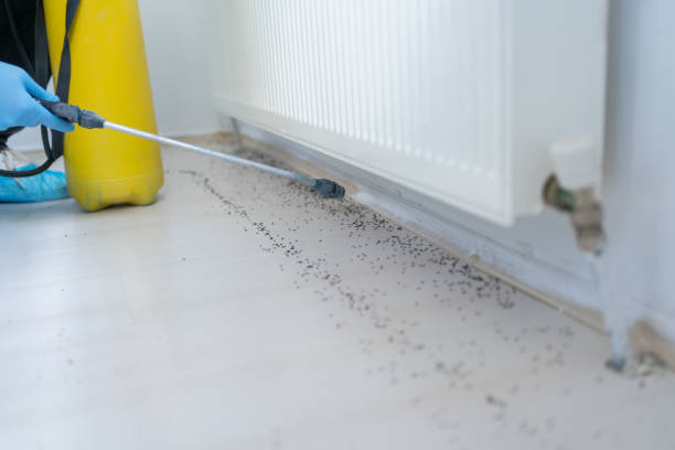 Best Pest Inspection Near Me  in East Williston, NY