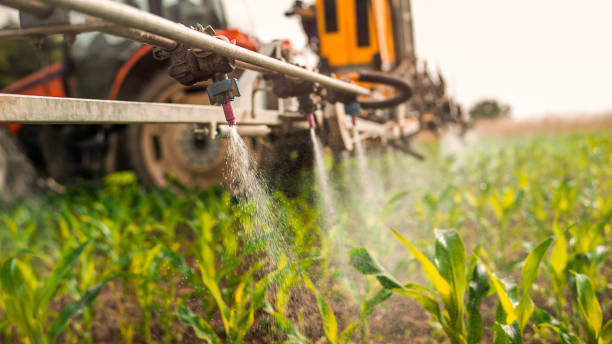 Best Commercial Pest Control Services  in East Williston, NY